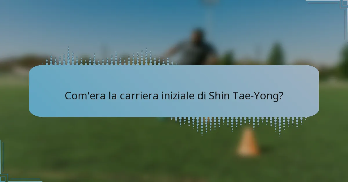Com'era la carriera iniziale di Shin Tae-Yong?